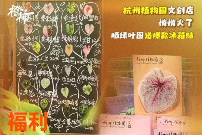 州四时主题丝巾……橙柿福利送不停开元ky